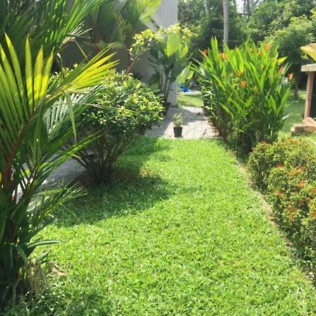 White Butterfly - A Countryside Homestay Thiruvananthapuram Extérieur photo