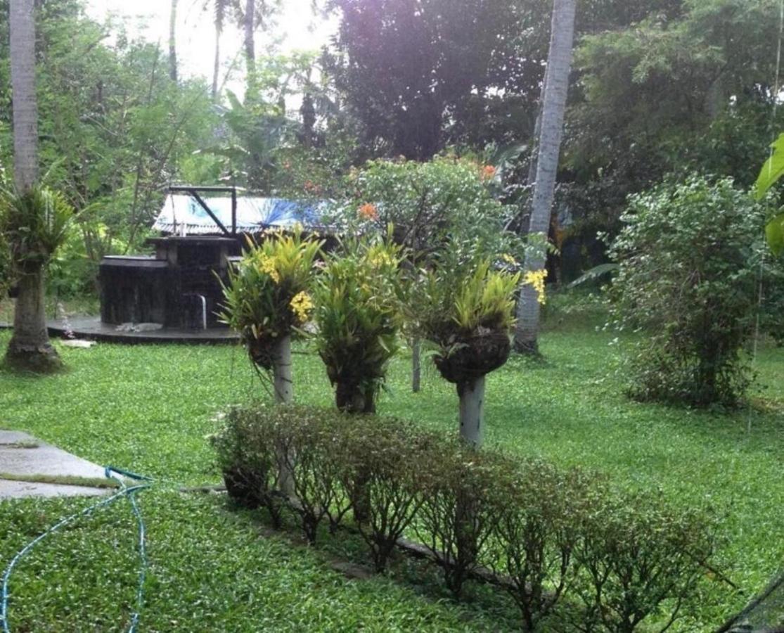 White Butterfly - A Countryside Homestay Thiruvananthapuram Extérieur photo